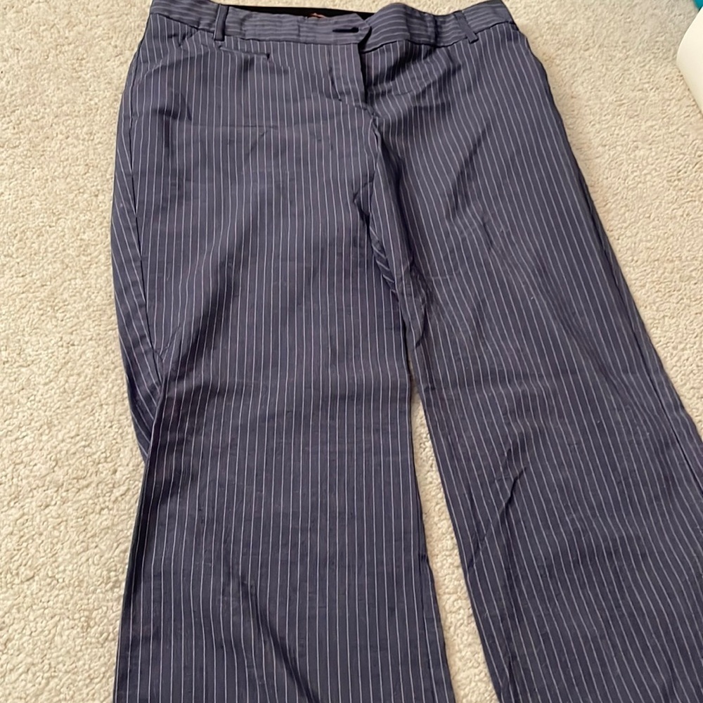 Express dress pant